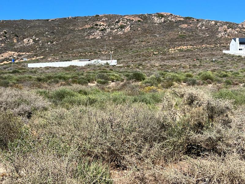 0 Bedroom Property for Sale in Steenbergs Cove Western Cape